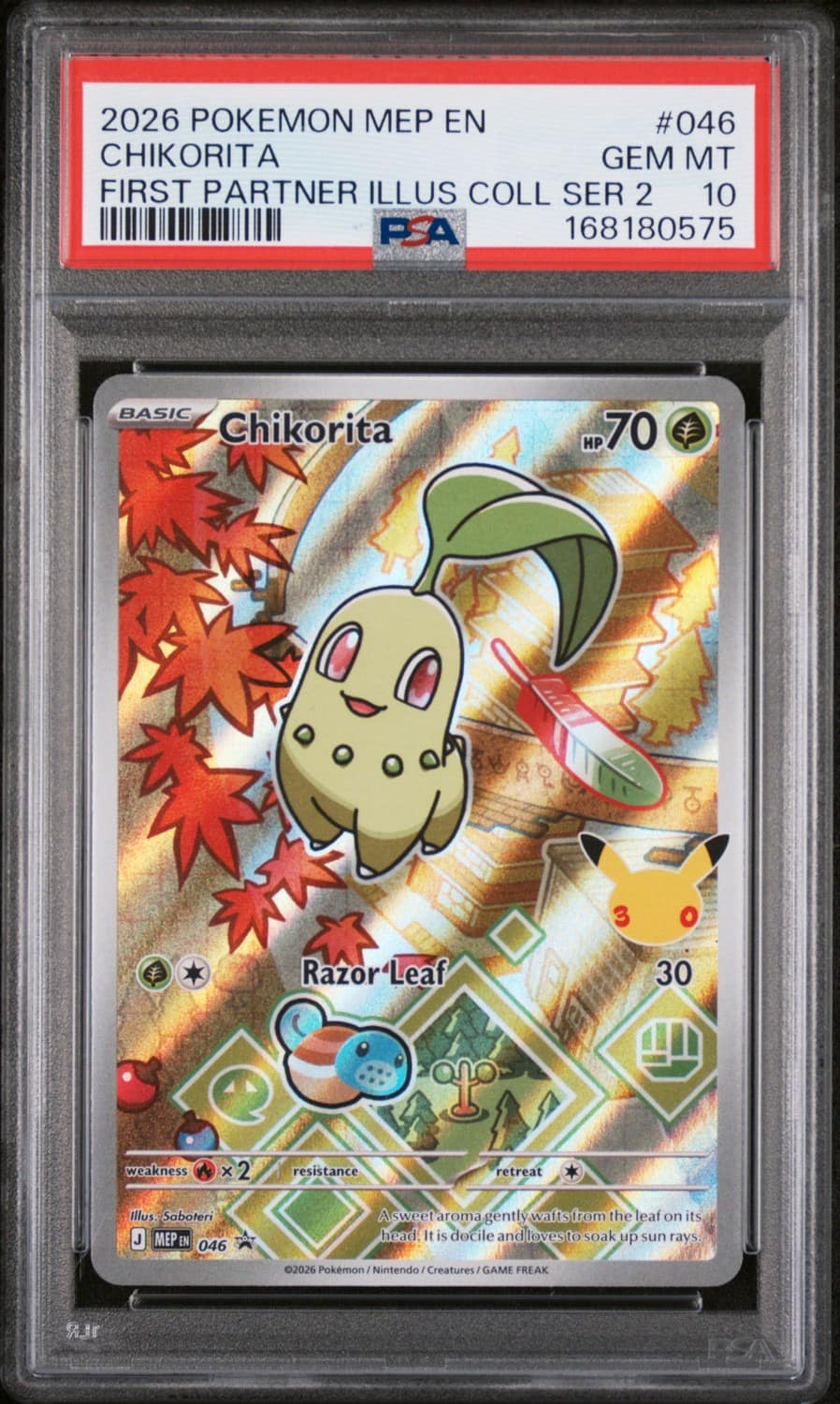 Chikorita