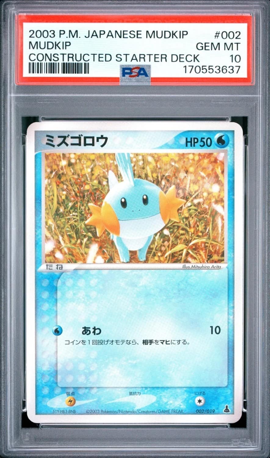 Mudkip