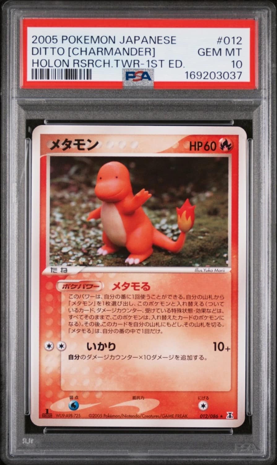 Ditto [charmander]