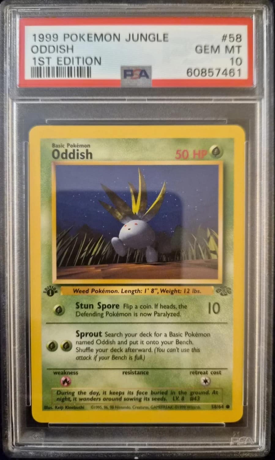 Oddish