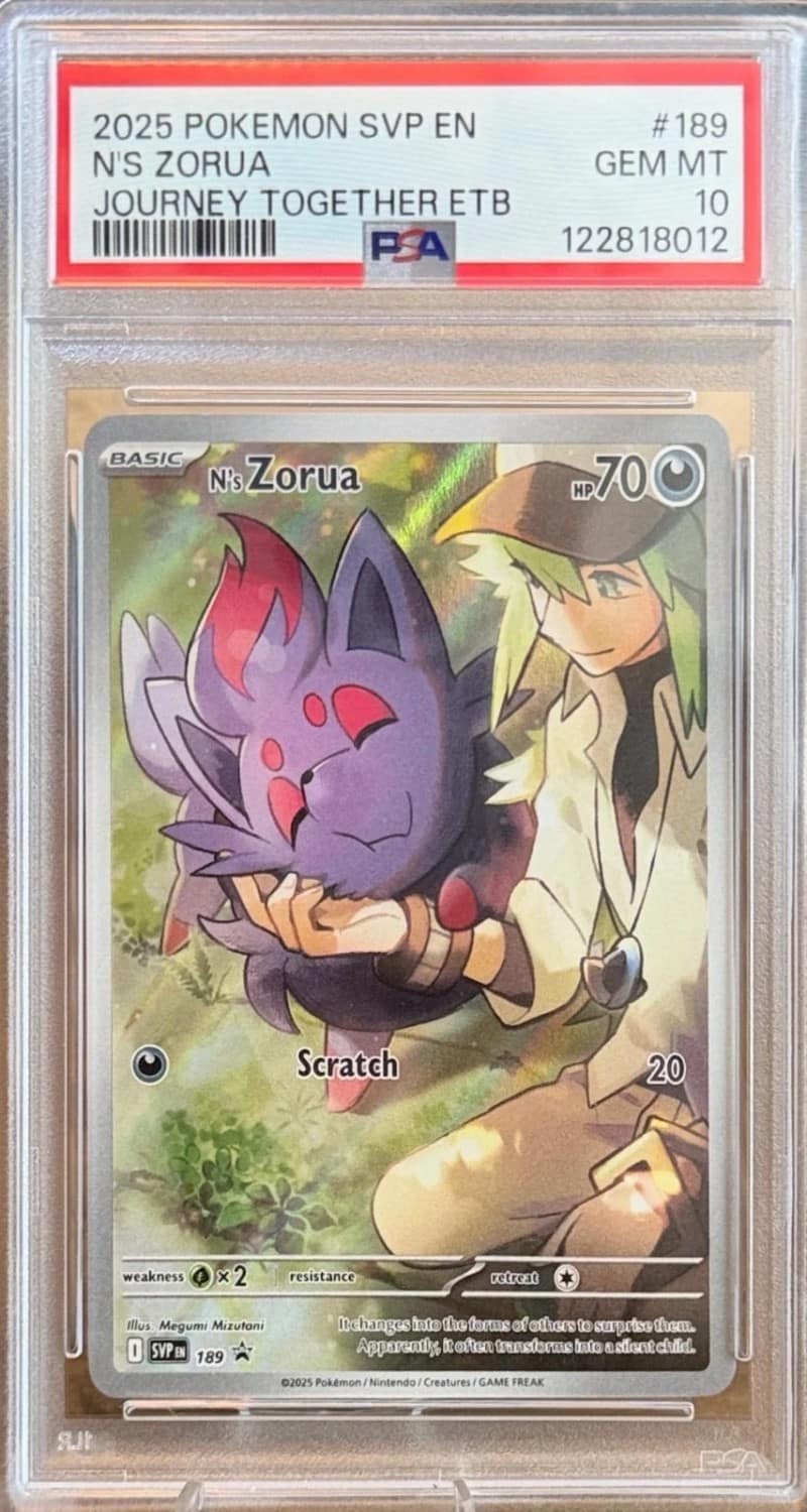 N'S Zorua