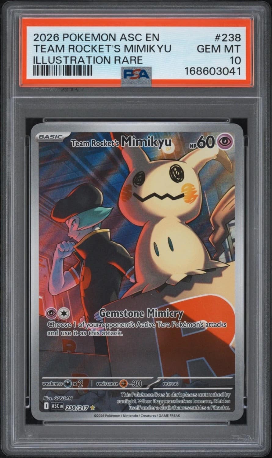 Team Rocket'S Mimikyu