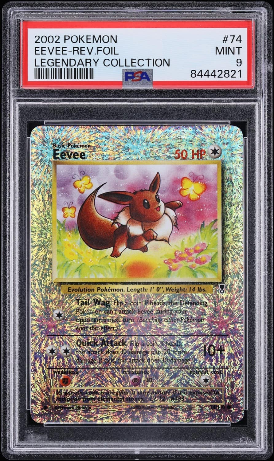 Eevee