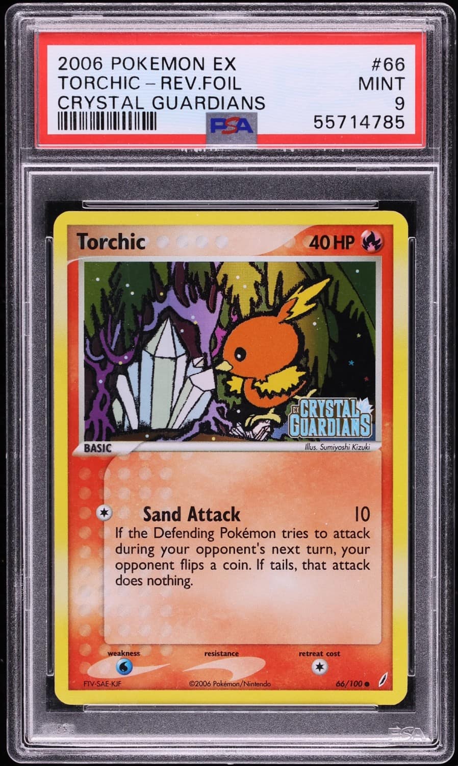 Torchic