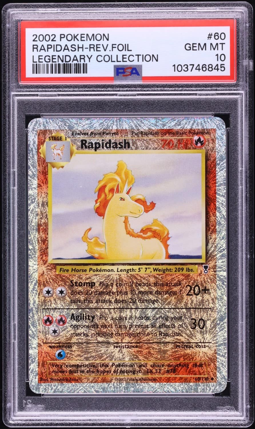 Rapidash