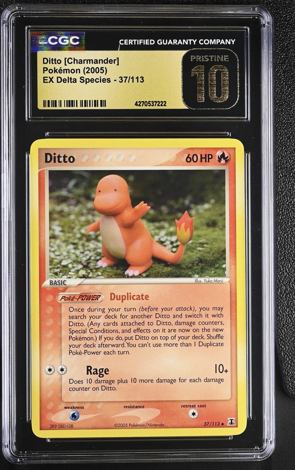 Ditto [charmander]