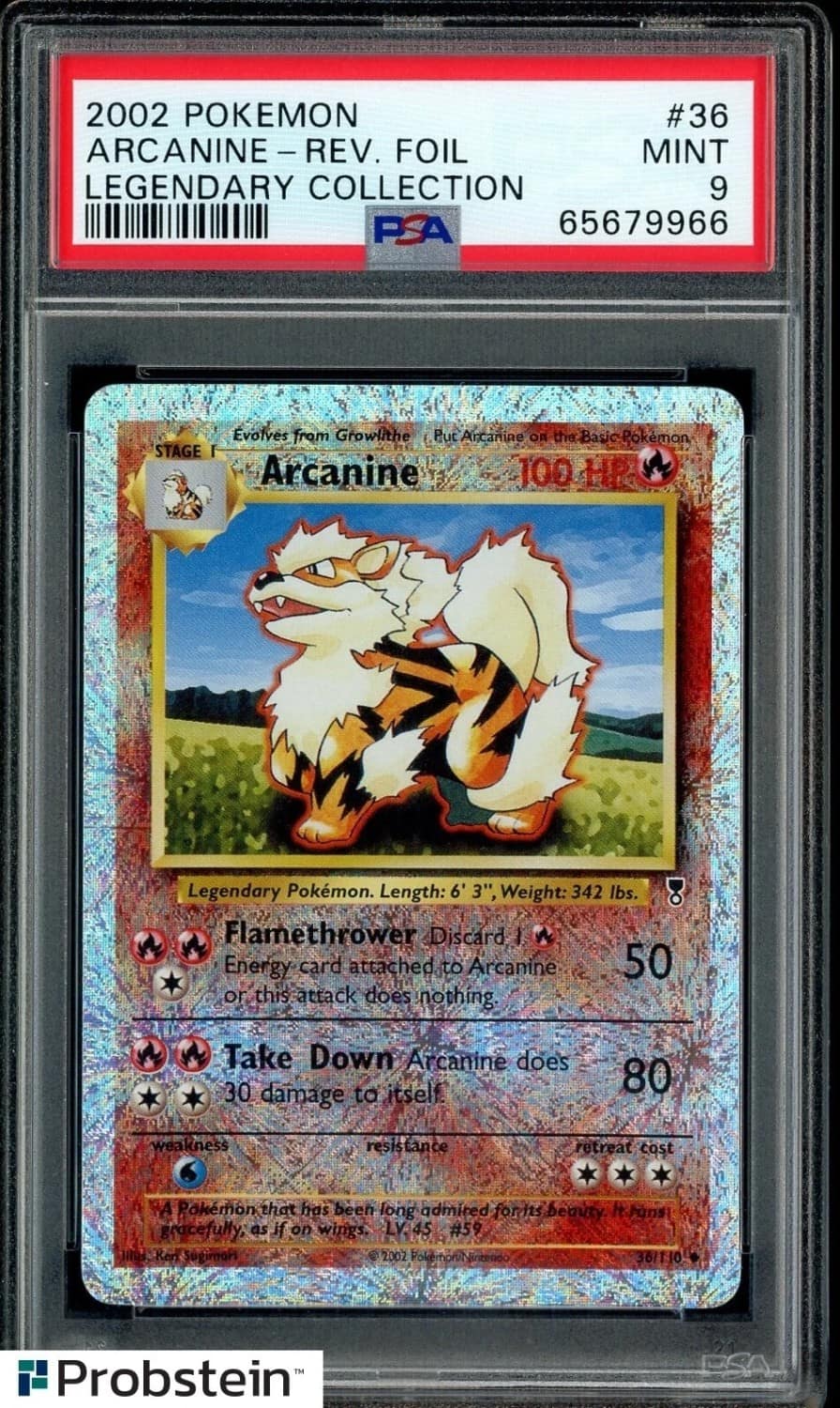 Arcanine