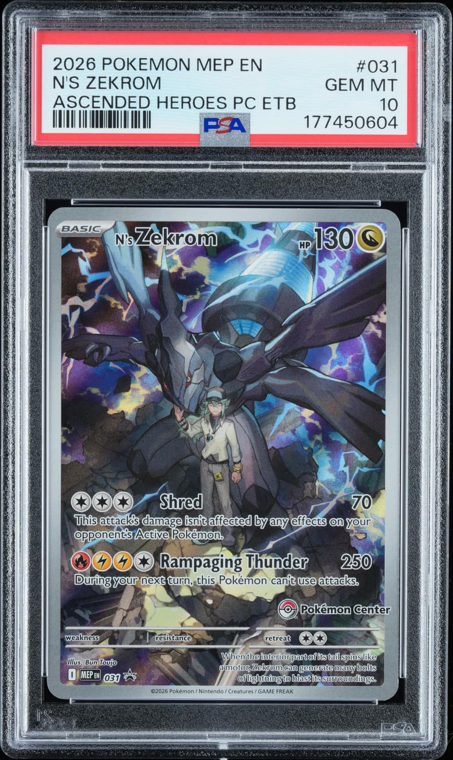 N'S Zekrom