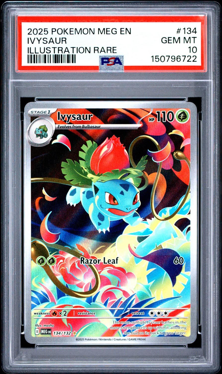Ivysaur