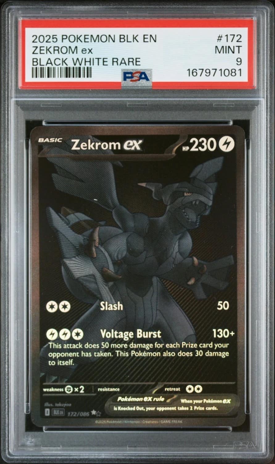 Zekrom Ex
