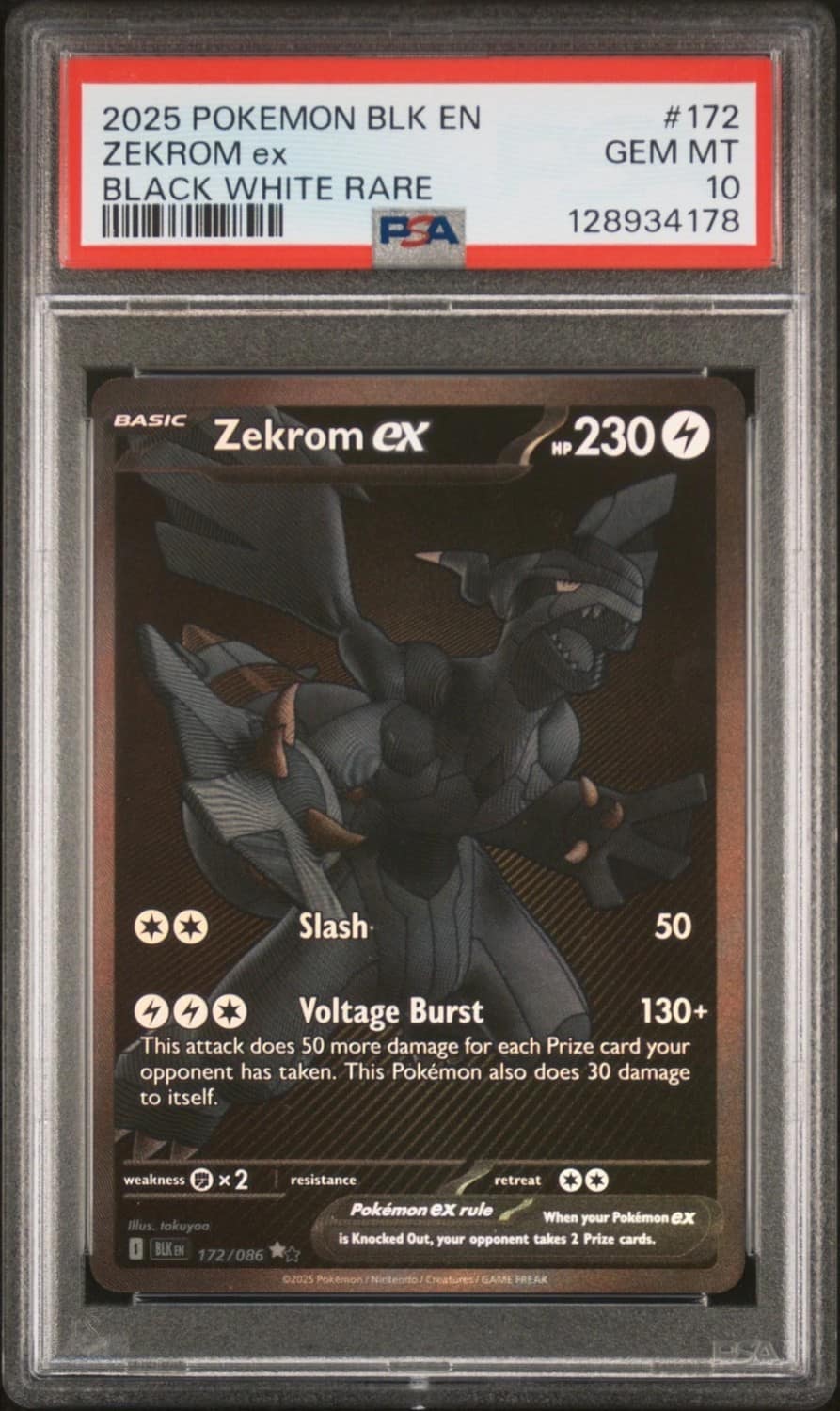 Zekrom Ex
