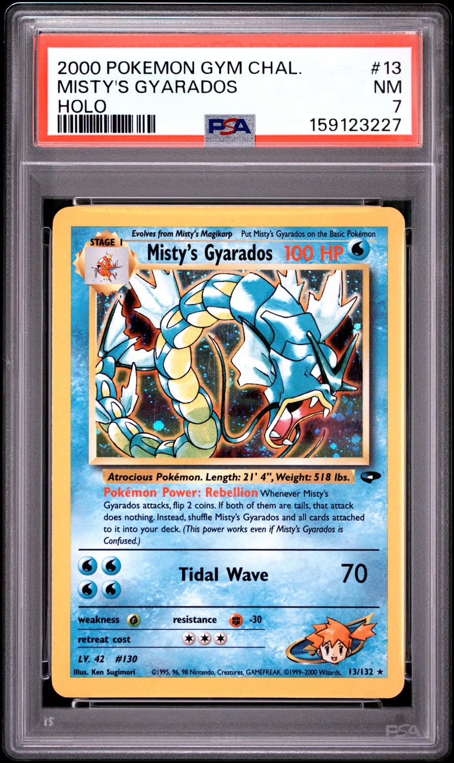 Misty'S Gyarados