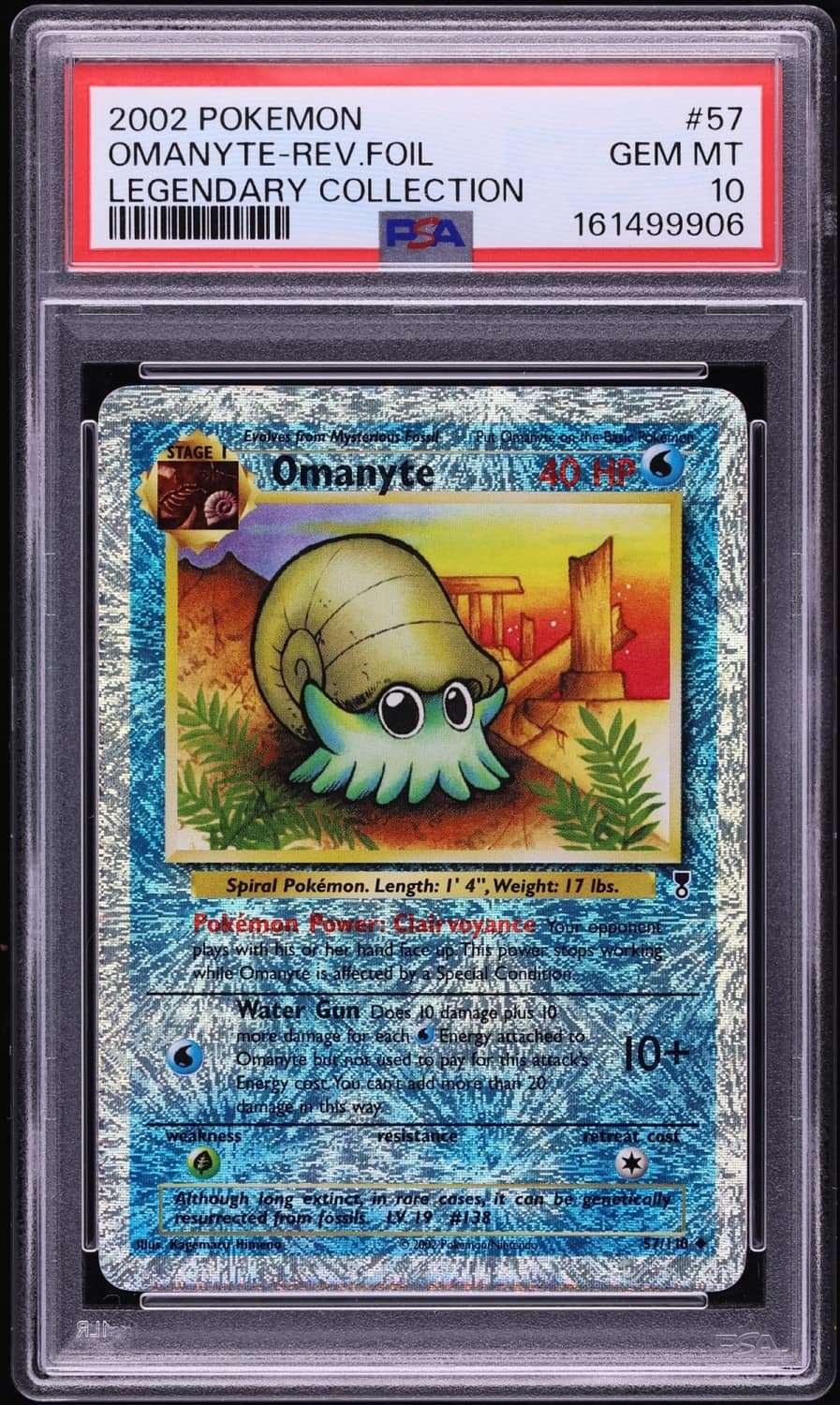 Omanyte