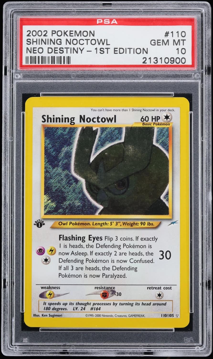 Shining Noctowl