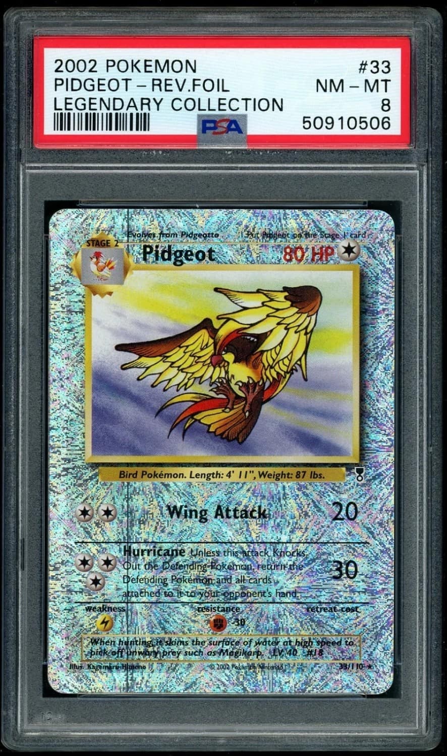 Pidgeot