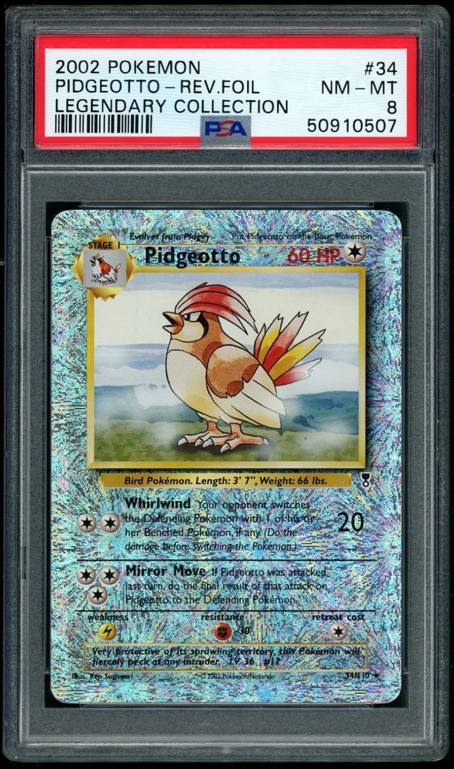 Pidgeotto