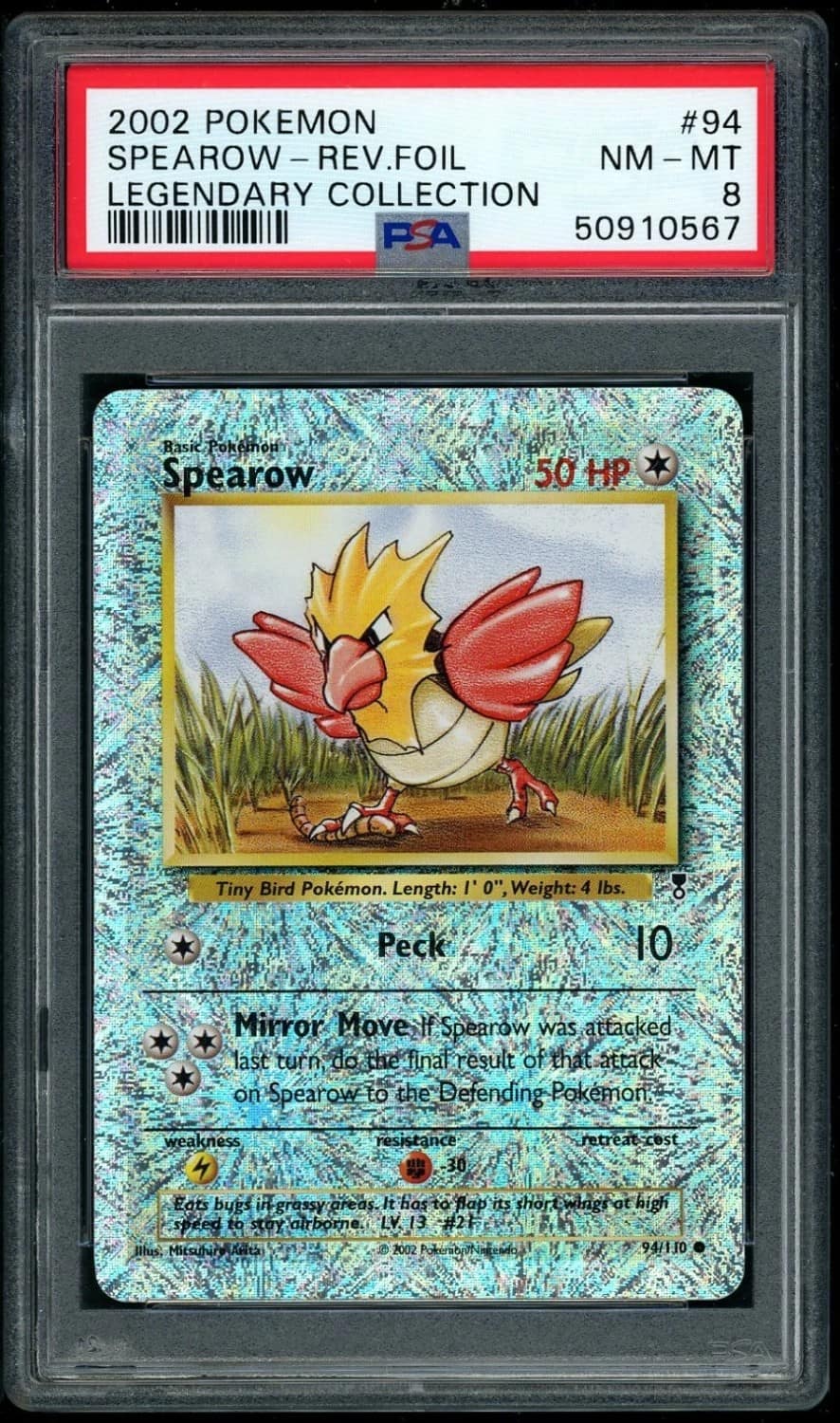 Spearow