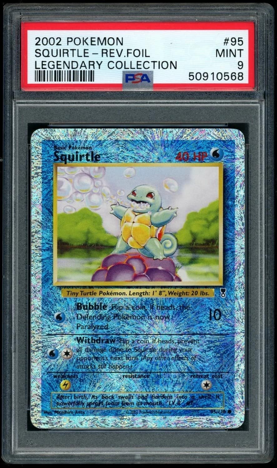 Squirtle