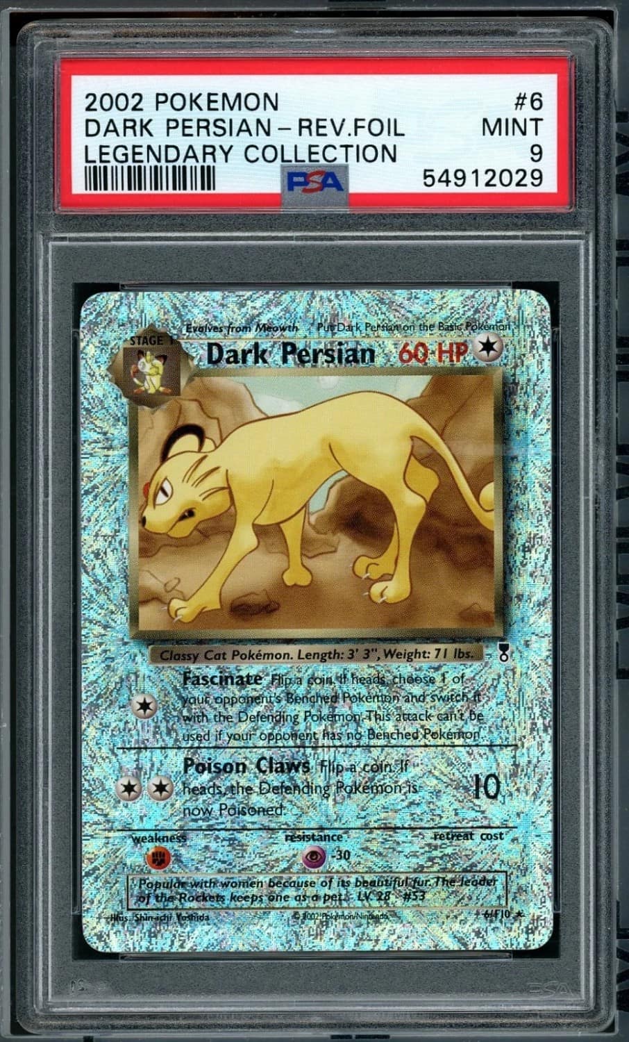 Dark Persian