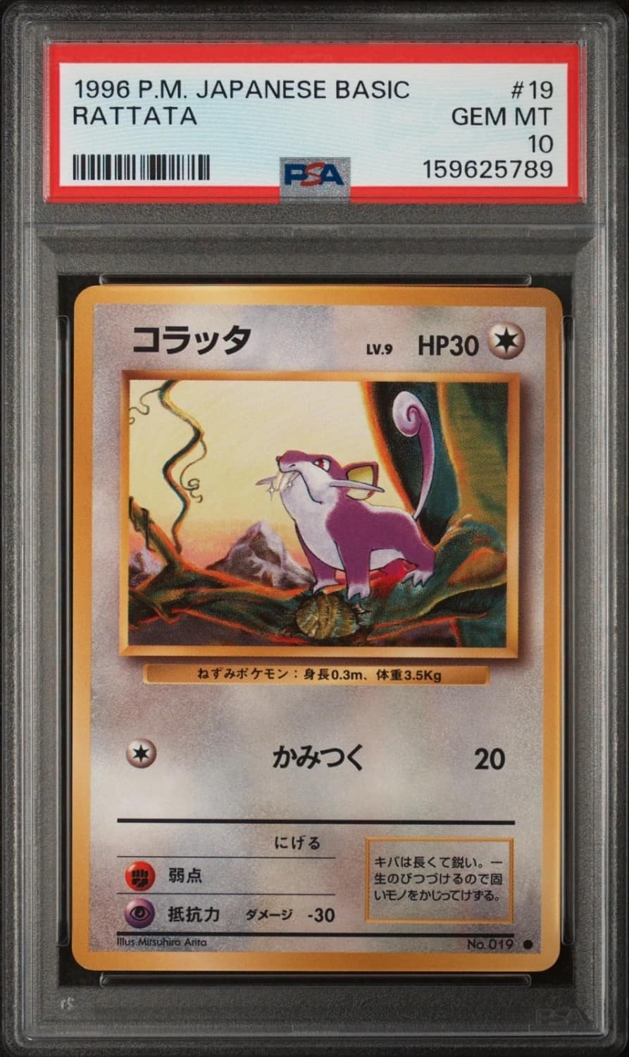 Rattata