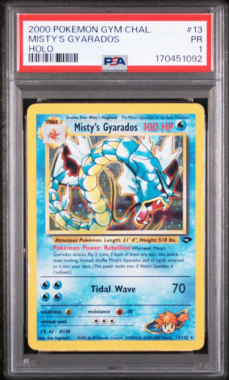 Misty'S Gyarados