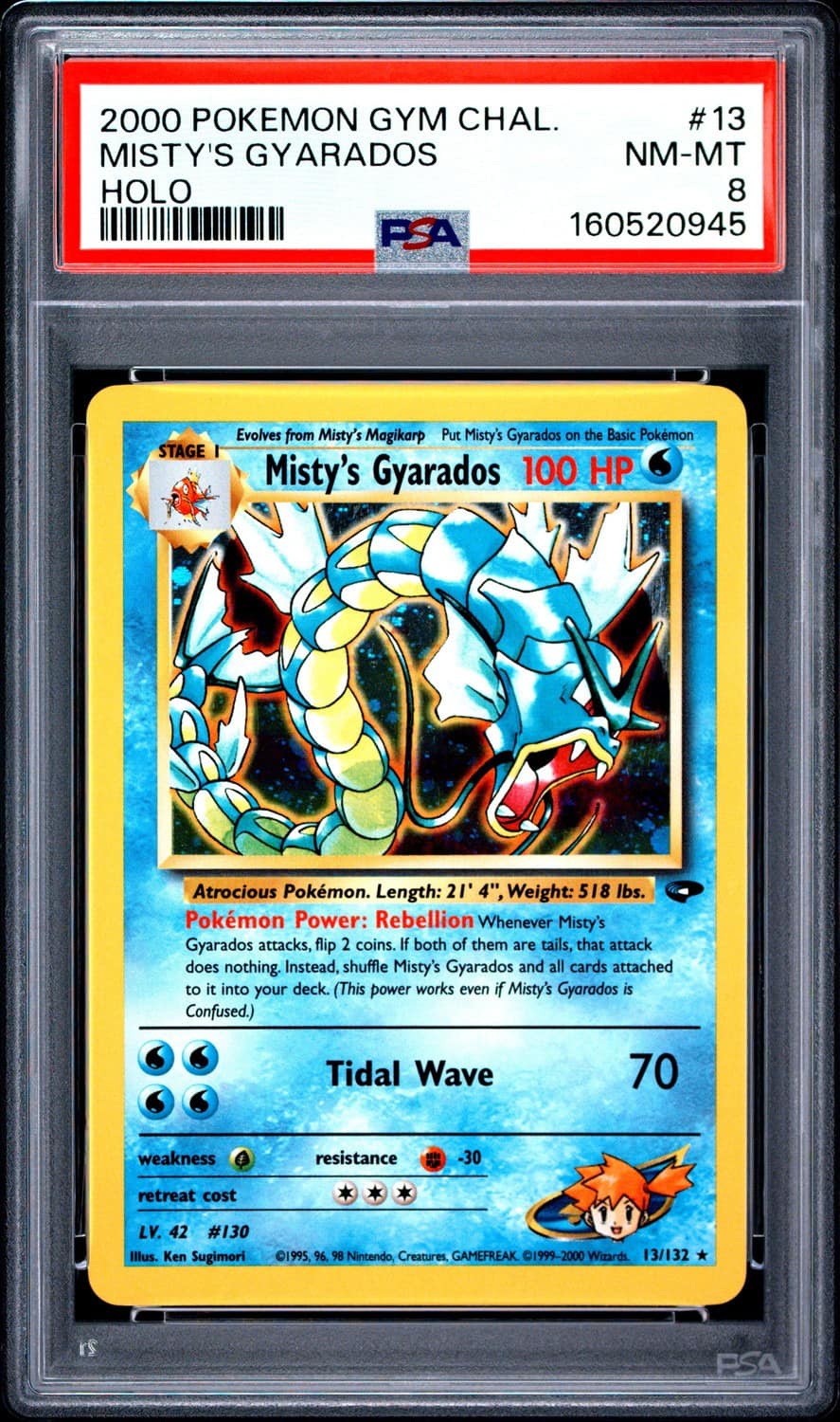 Misty'S Gyarados