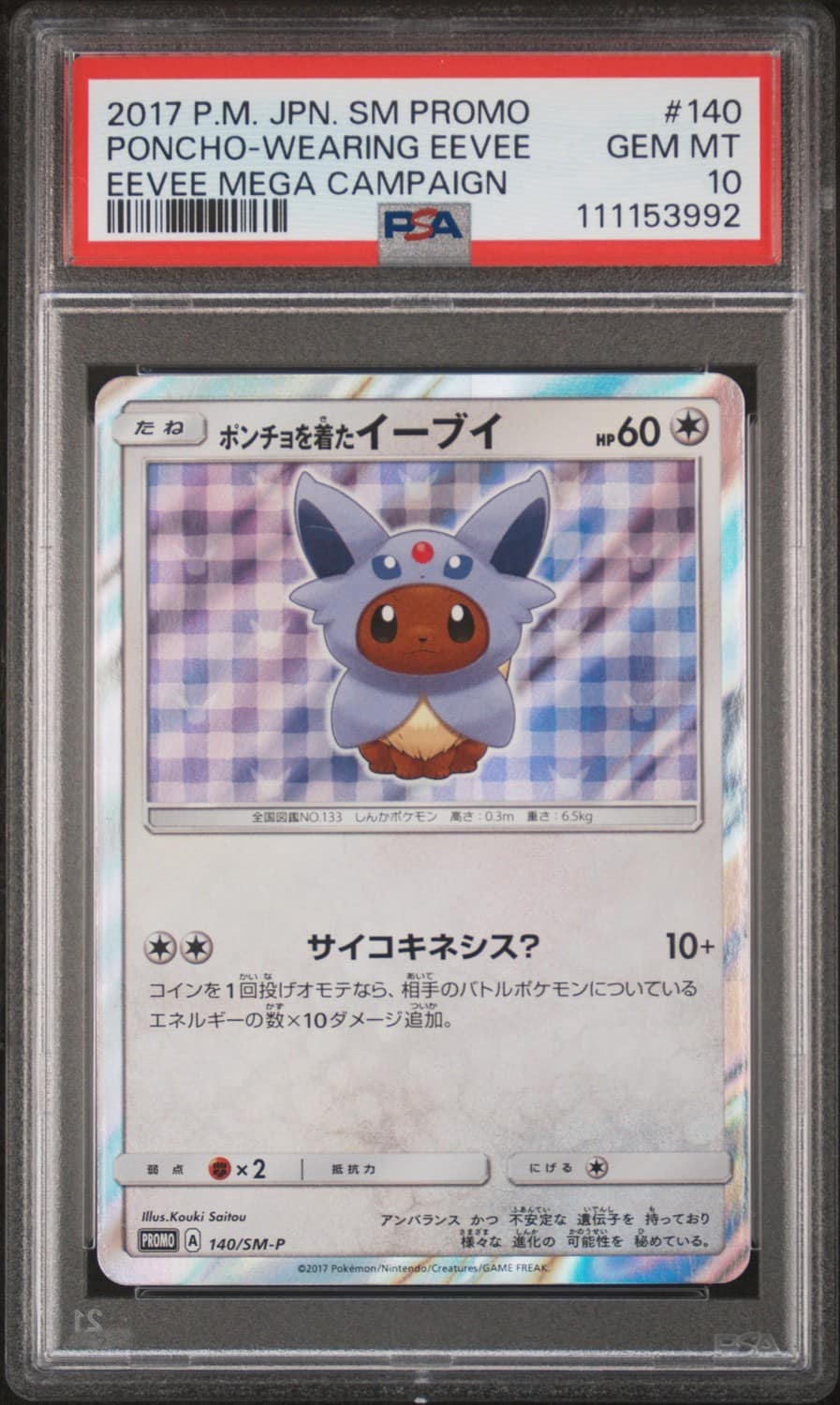 Poncho-Wearing Eevee