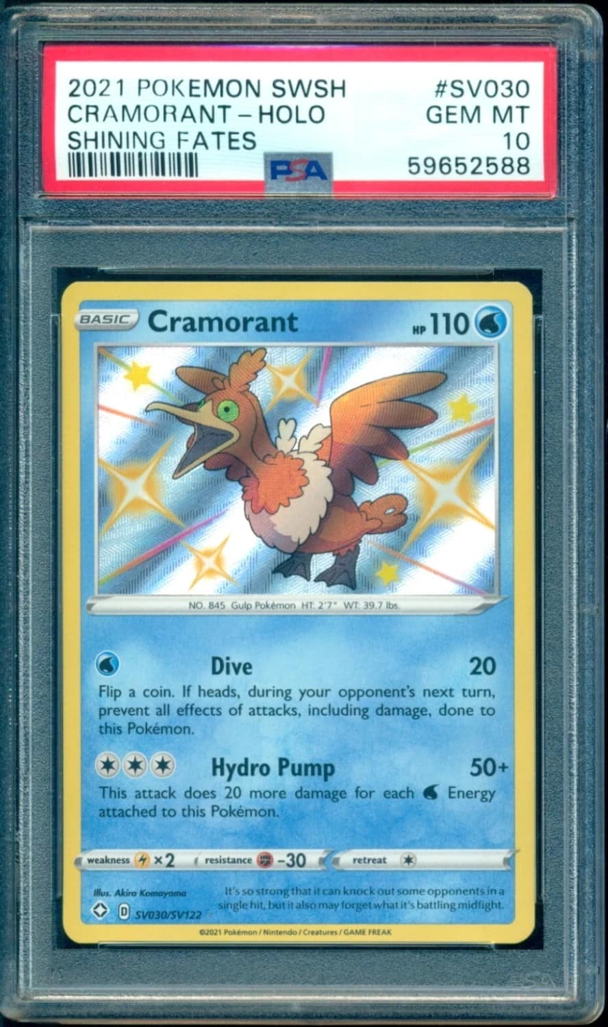 Cramorant