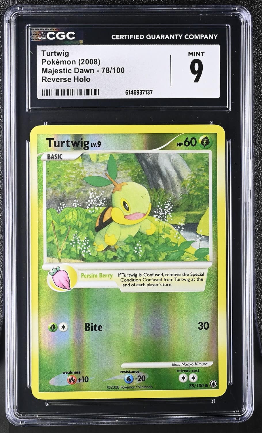 Turtwig