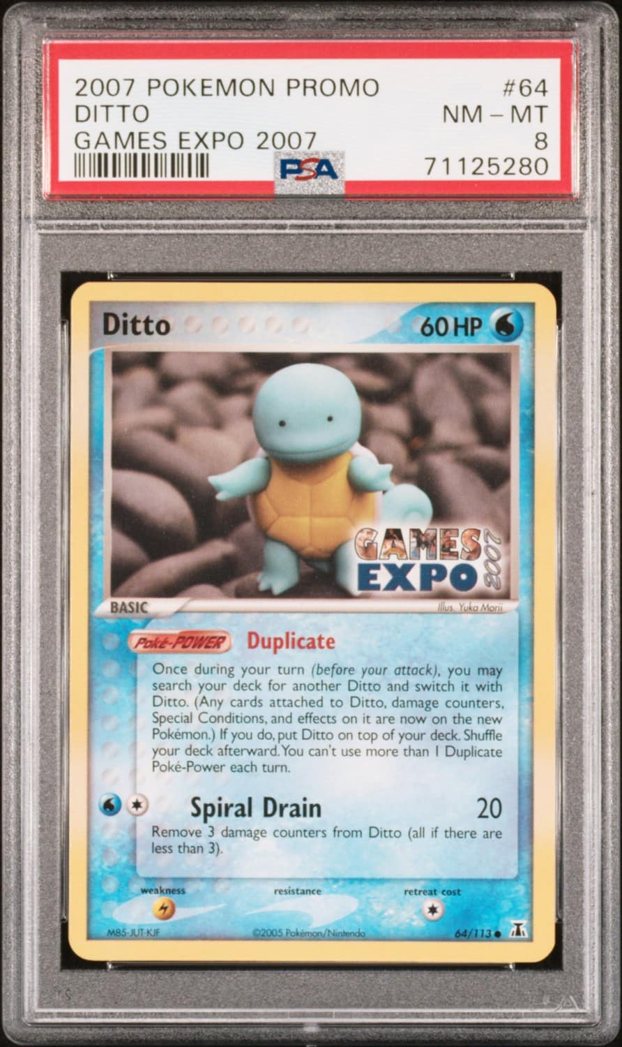 Ditto [squirtle]