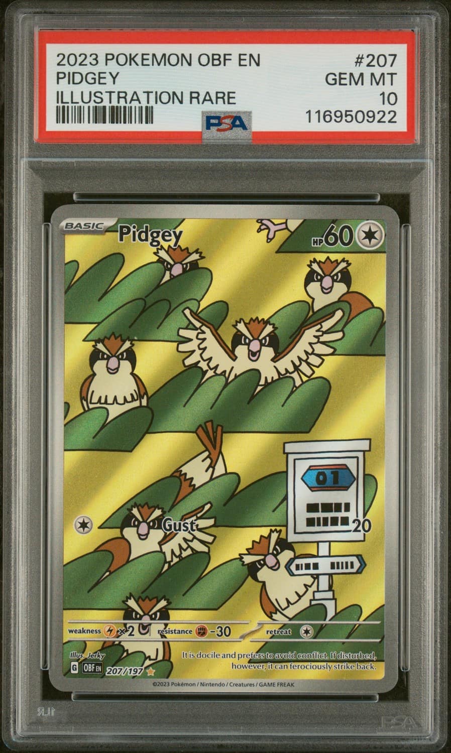 Pidgey