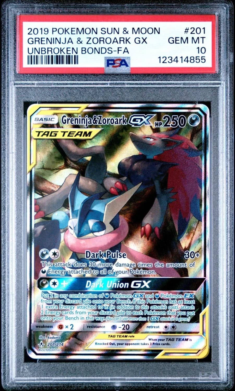 Greninja & Zoroark Gx
