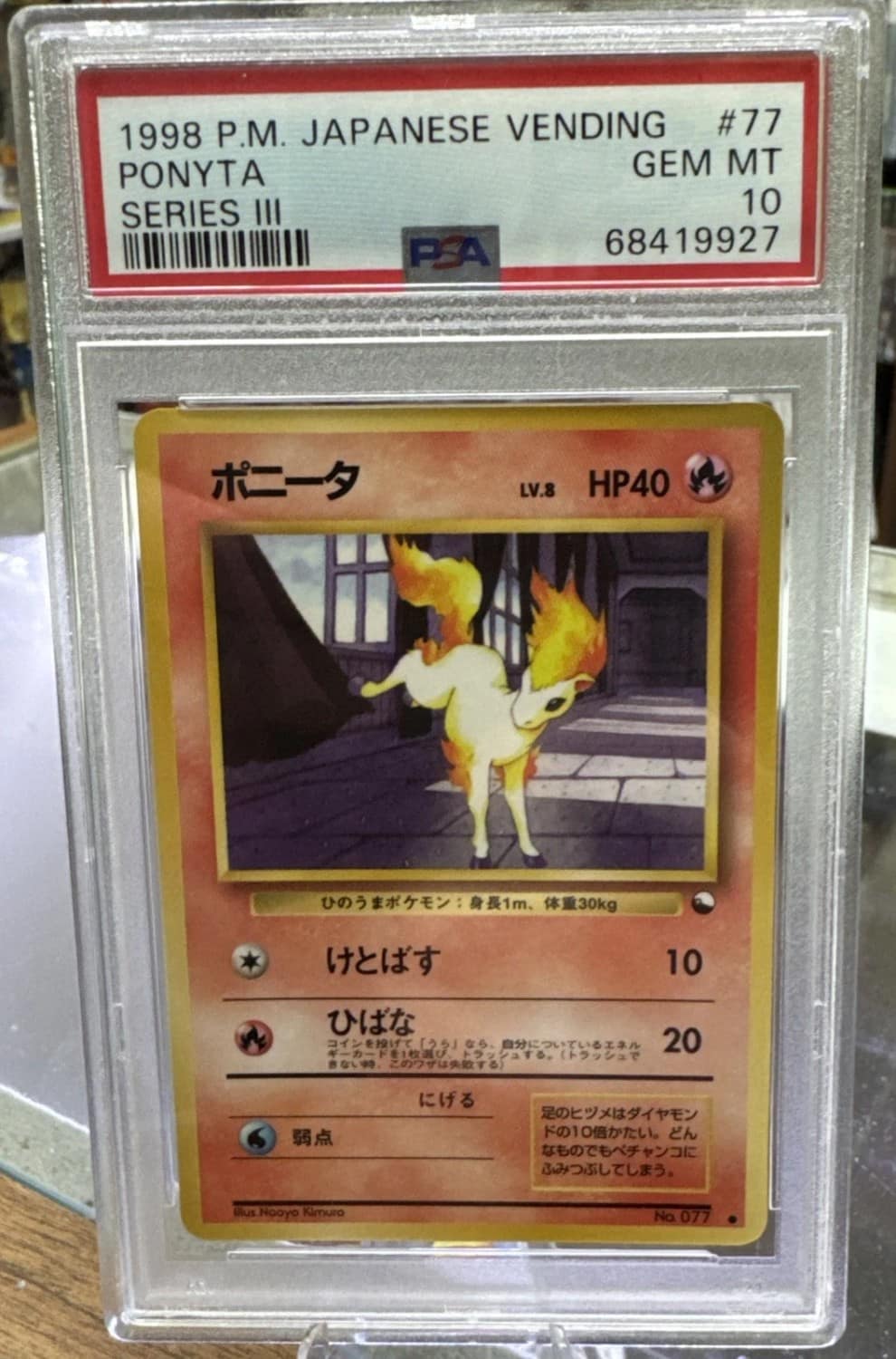 Ponyta