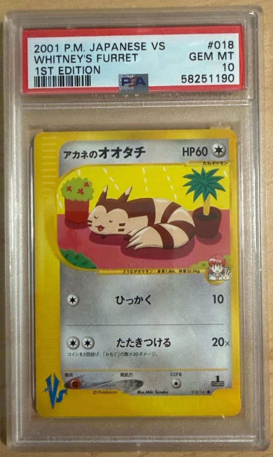 Whitney'S Furret