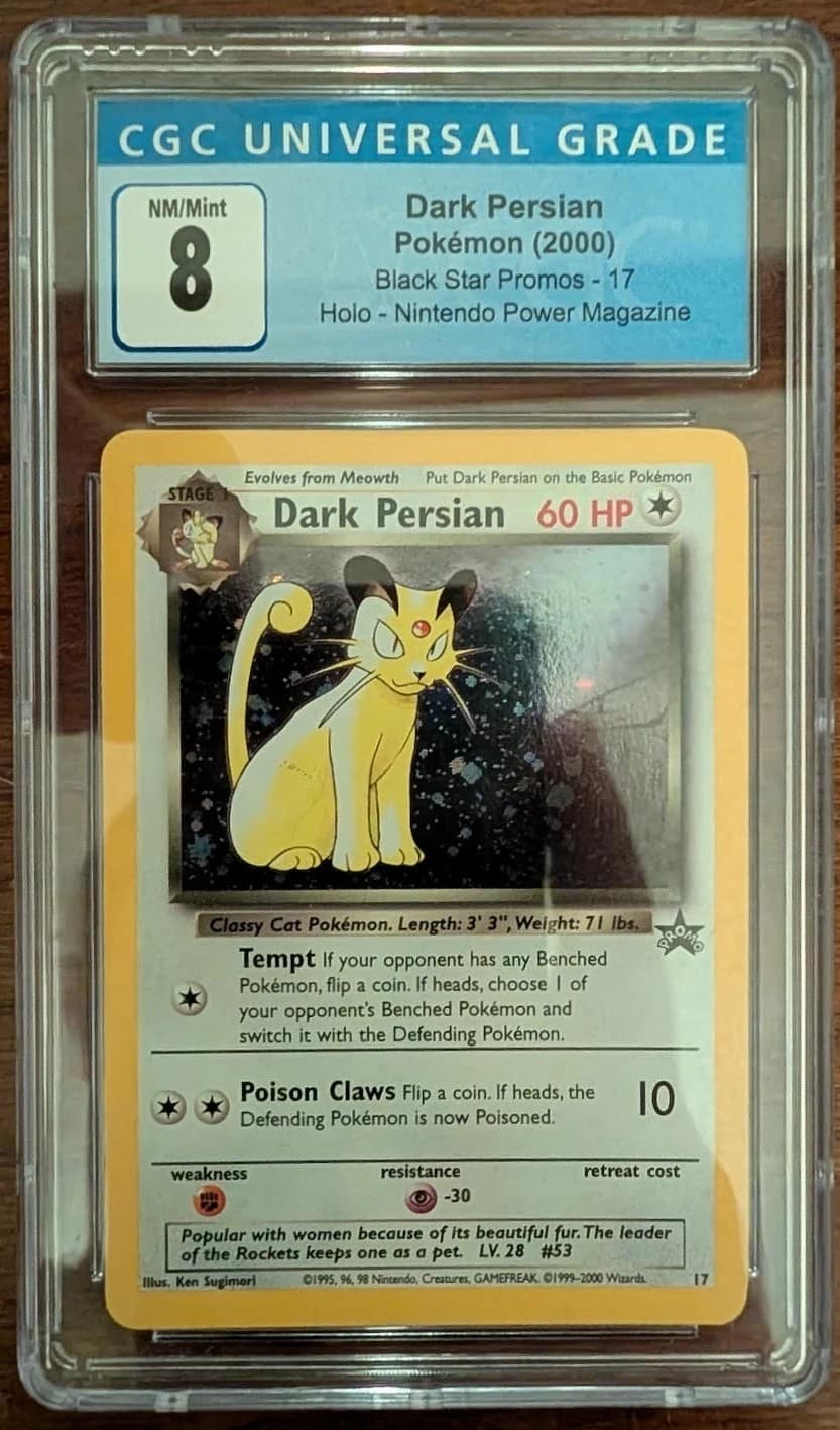 Dark Persian