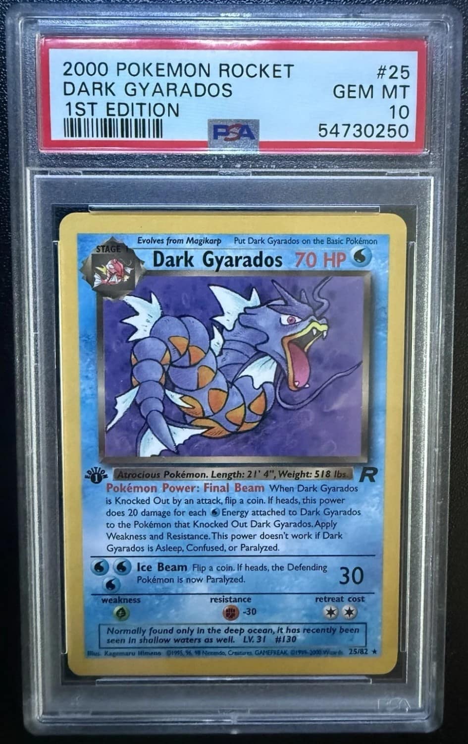 Dark Gyarados