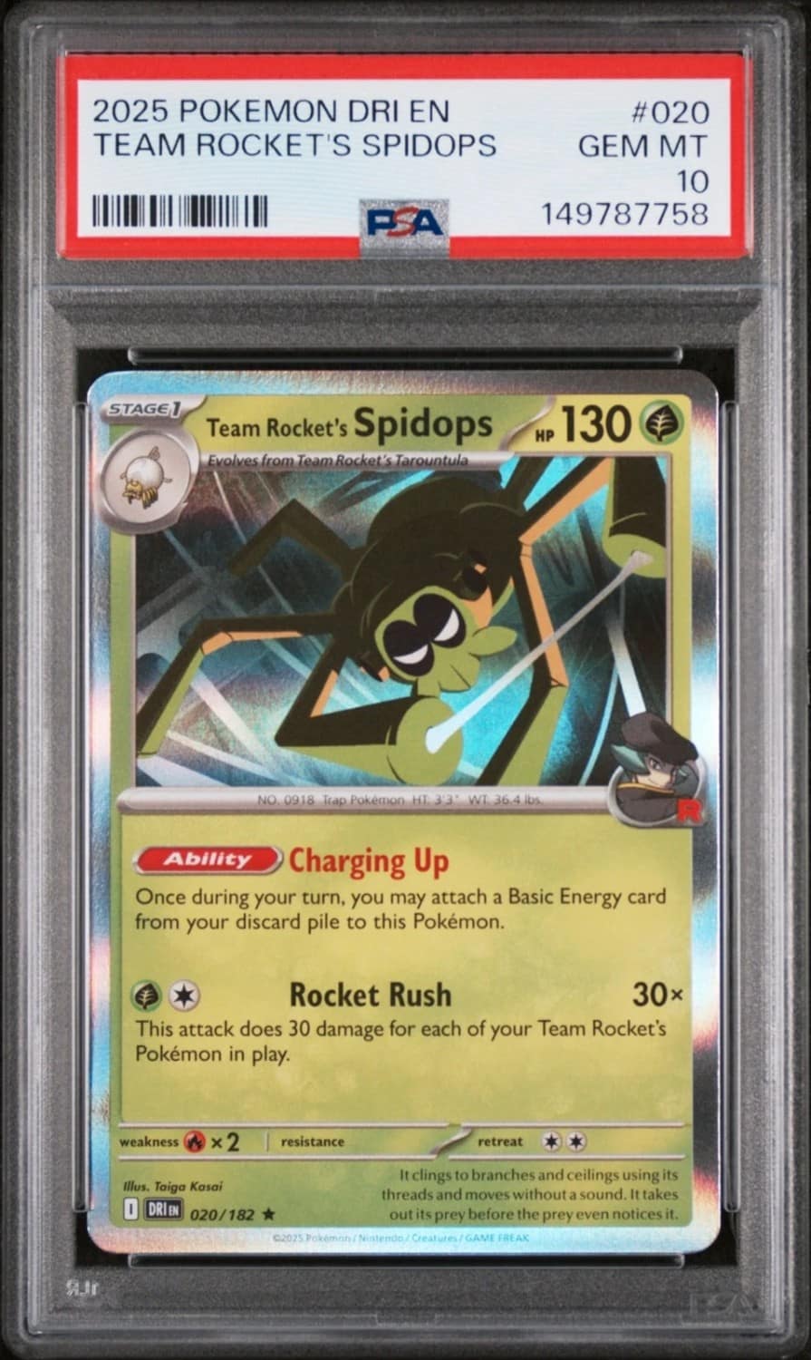 Team Rocket'S Spidops