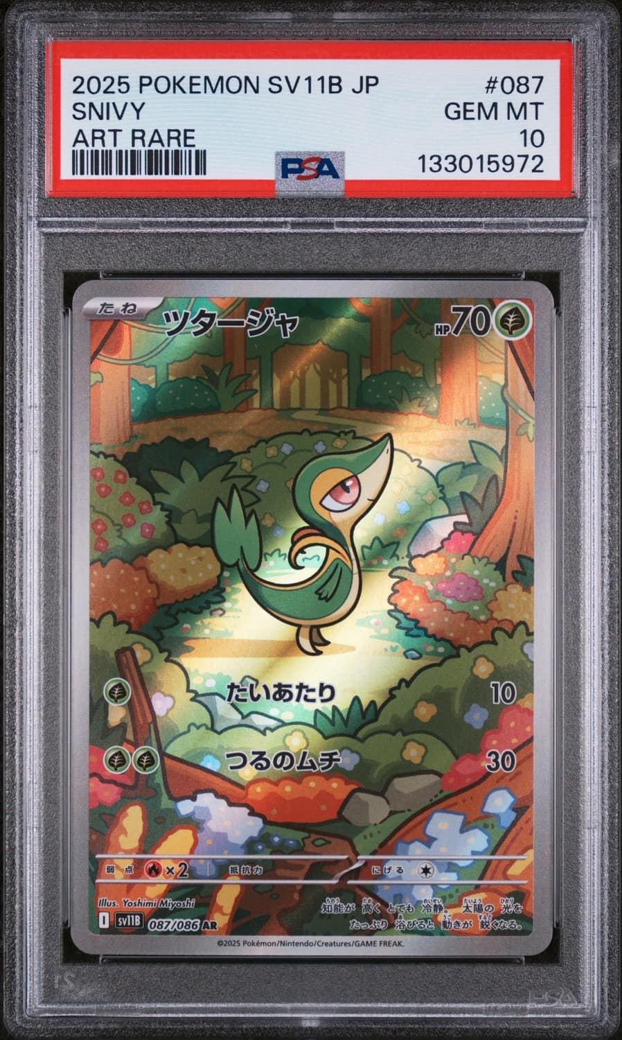 Snivy