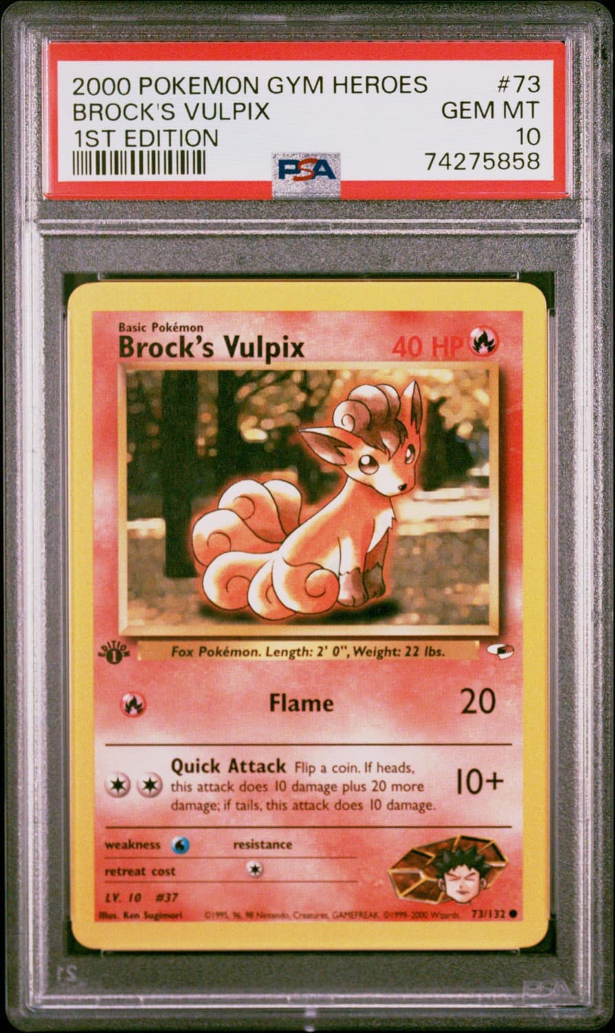 Brock'S Vulpix