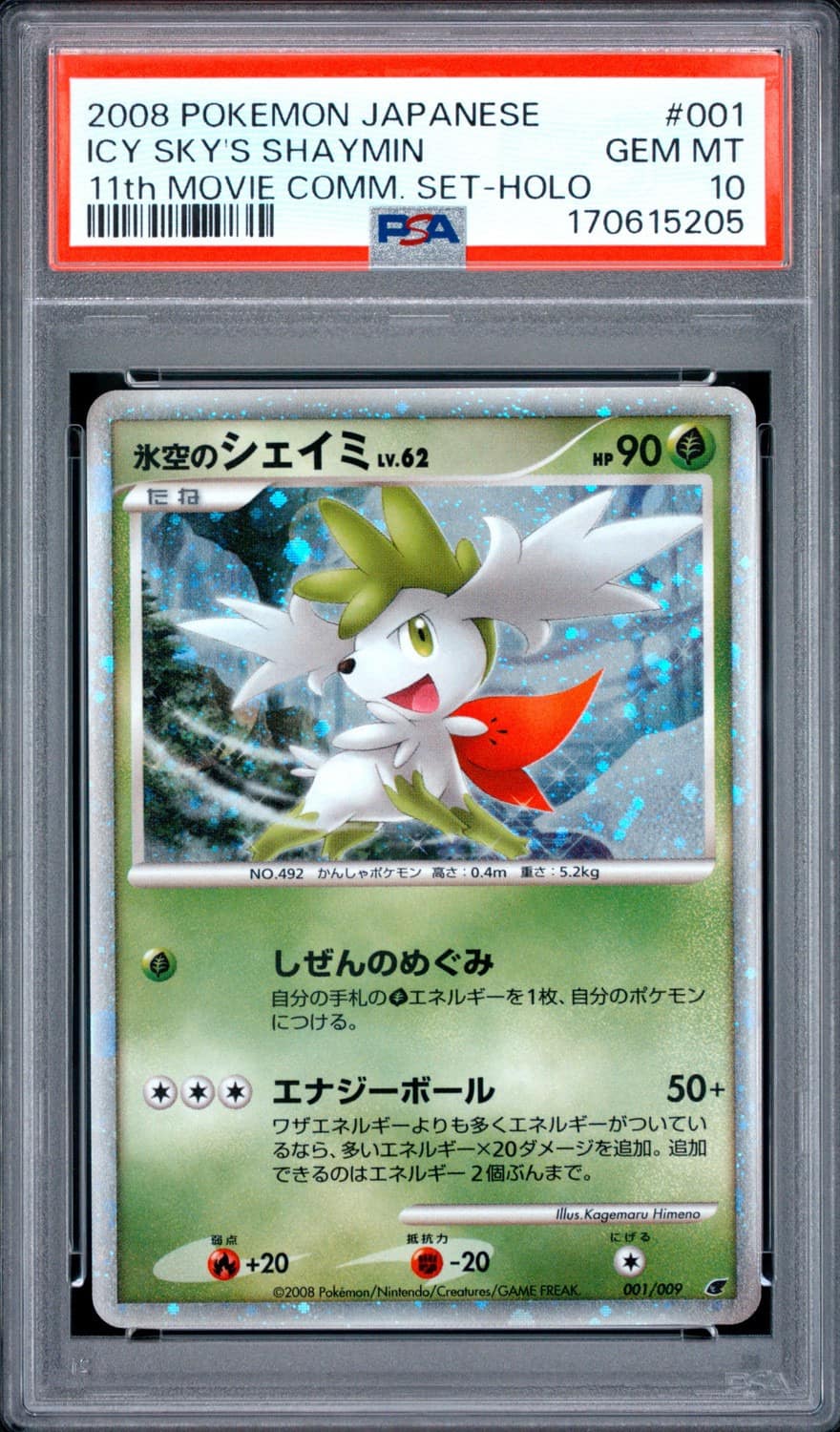 Icy Sky'S Shaymin
