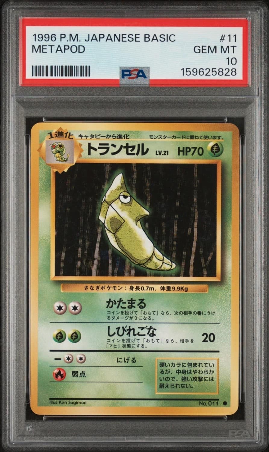 Metapod