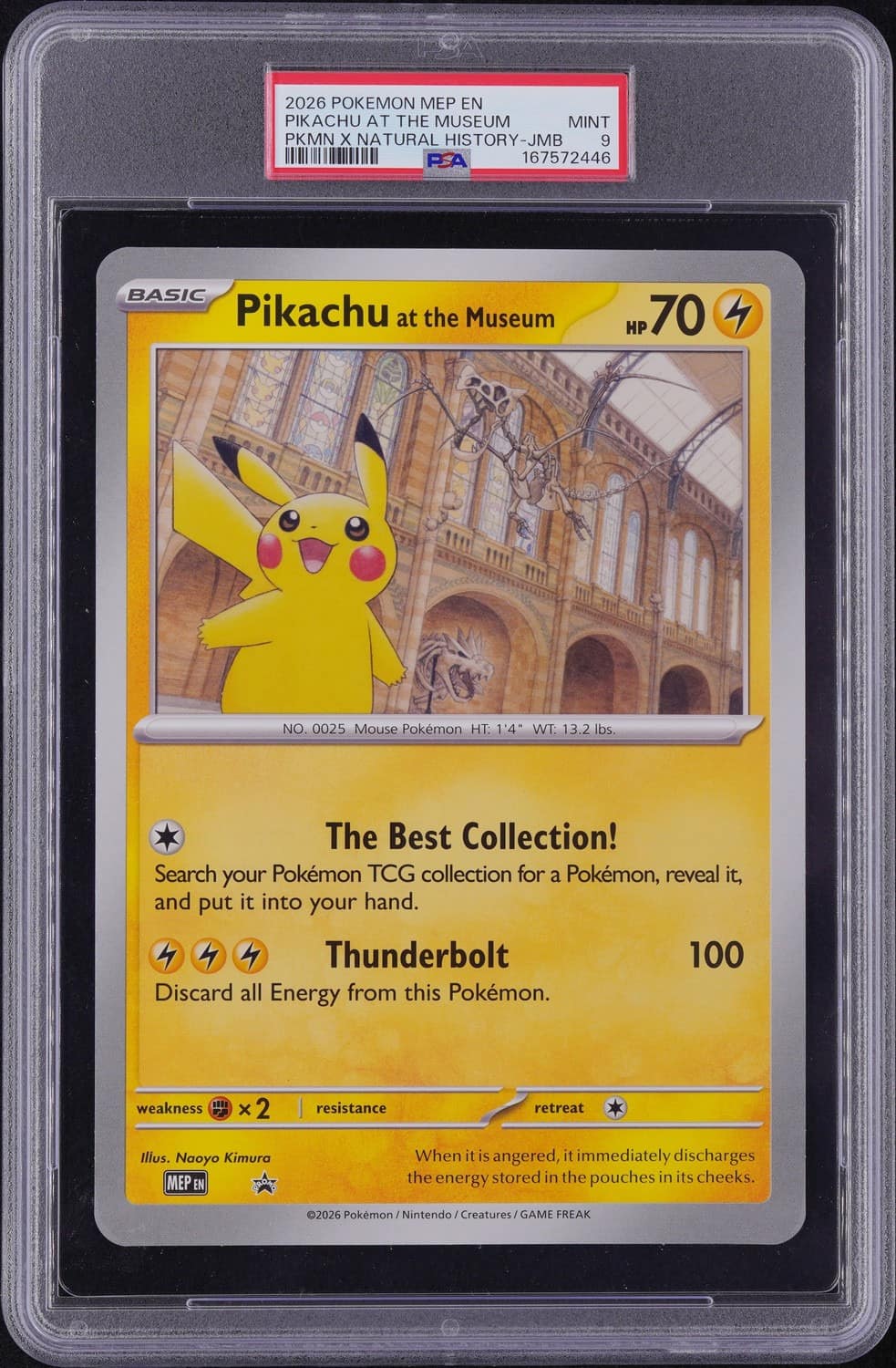 Pikachu At The Museum