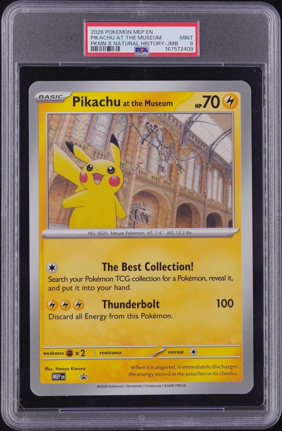 Pikachu At The Museum