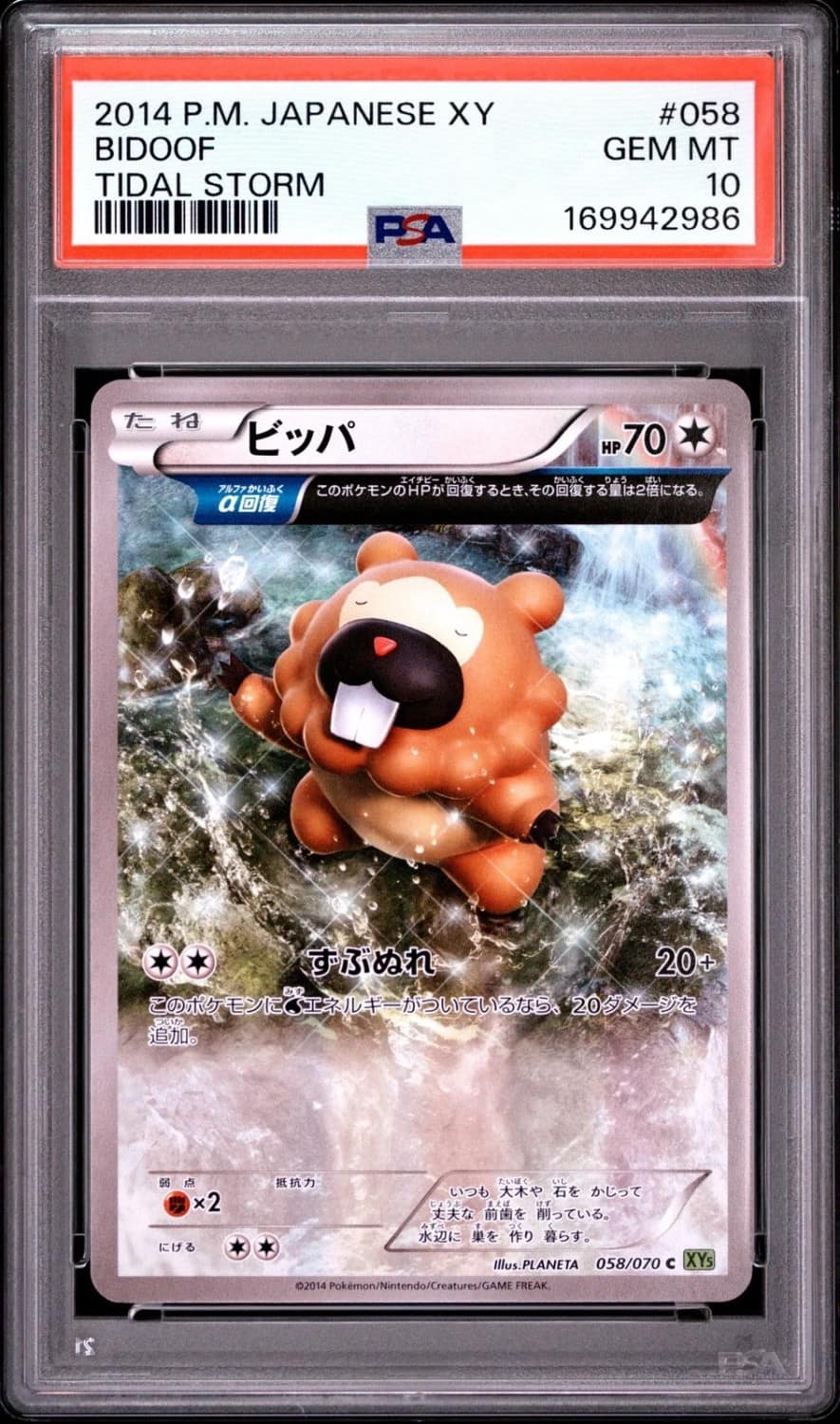 Bidoof