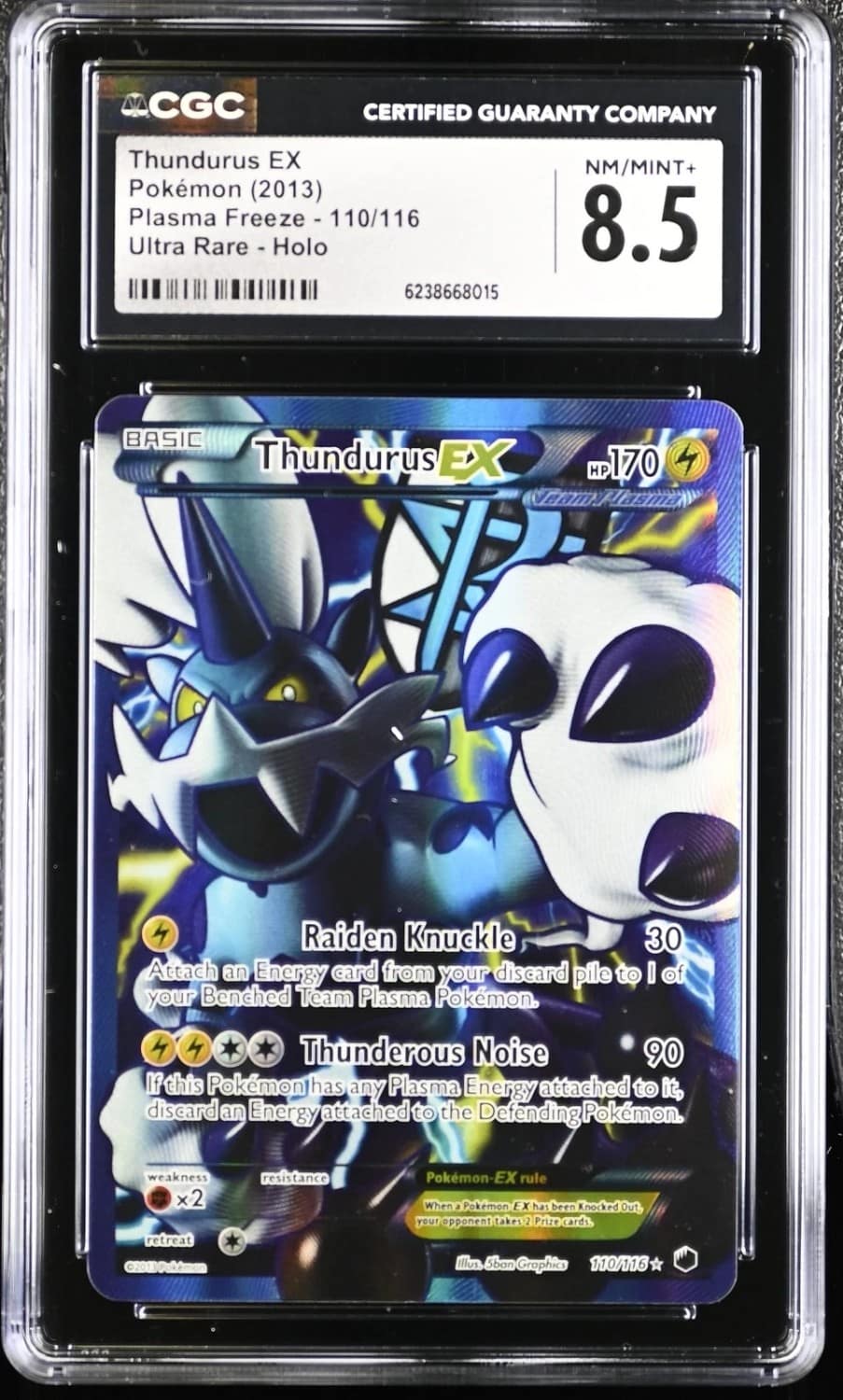 Thundurus Ex