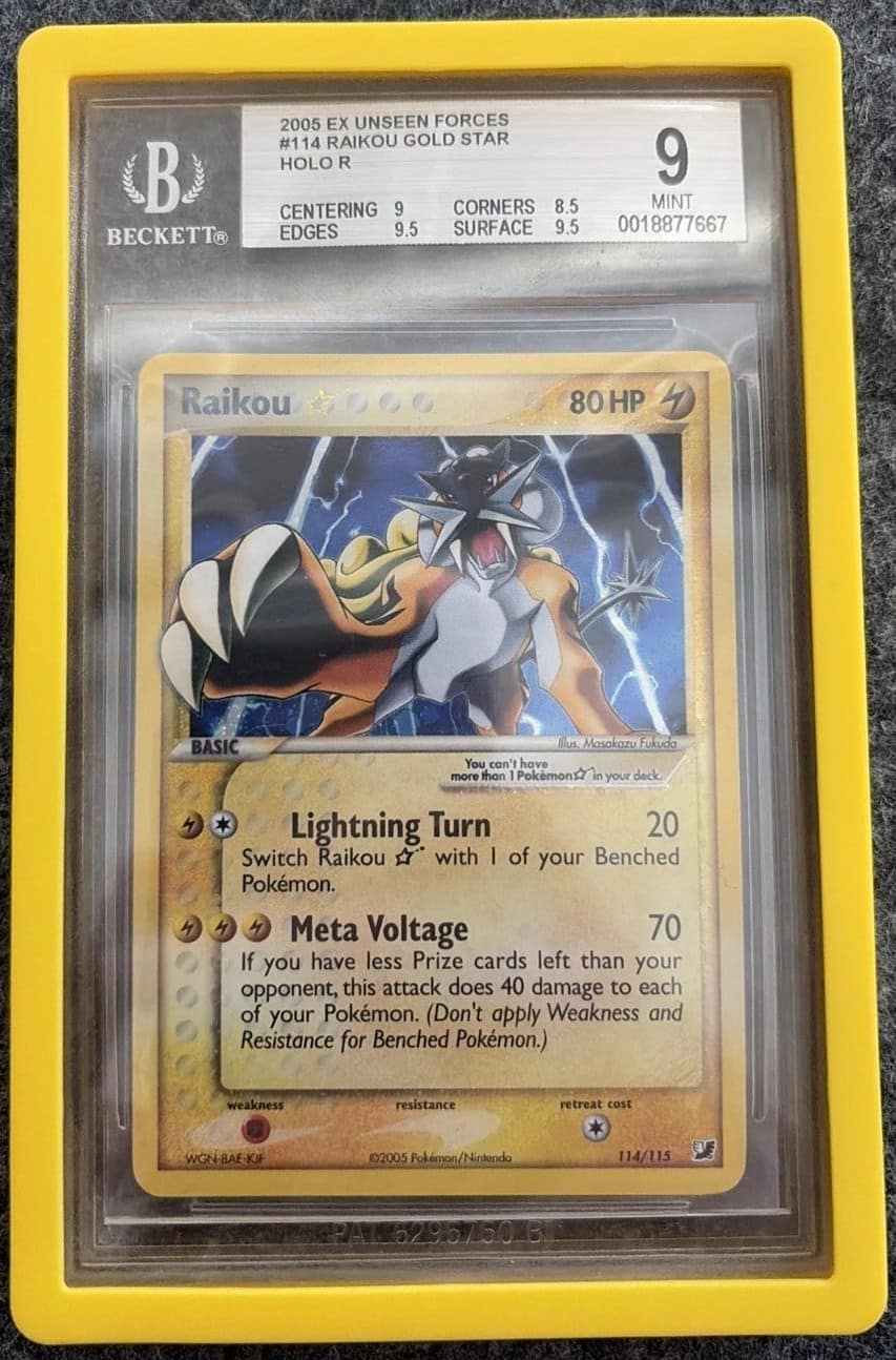 Raikou