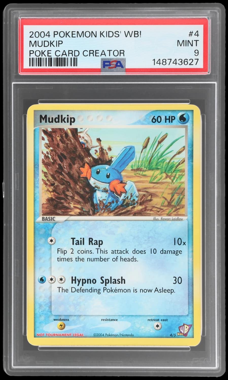 Mudkip