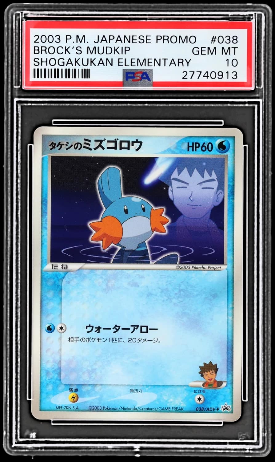 Brock'S Mudkip