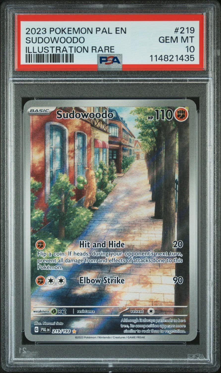 Sudowoodo