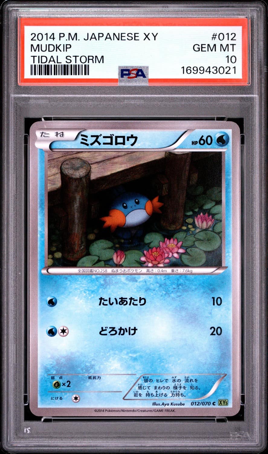 Mudkip
